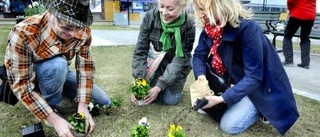 Blommor för Luleås framtid