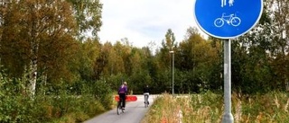 Grinden har förstörts - men ett fåtal genar