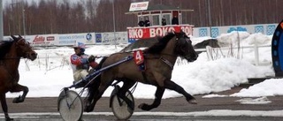 Påsksmällar briserade i annandagstrav