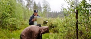 Verner Boströms minne lyster i tiden