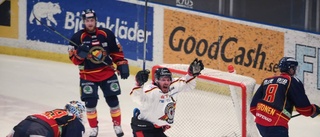 Trotjänaren förlänger med Luleå Hockey