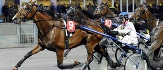 Kenseth Hanover slog till