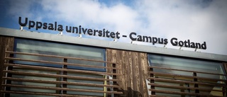 Campus Gotland växer så det knakar