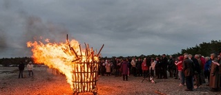 "Jagade kaniner med svedda ryggar"