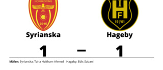 Delad pott för Syrianska och Hageby