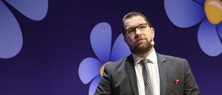 SD:s smutsiga byk hängs ut till allmän beskådan • Jimmie Åkesson gick med i ett parti som ordnade bokbål