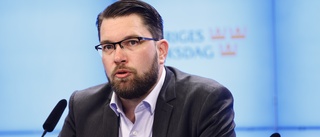 Åkesson rasar mot fråga på nationella provet