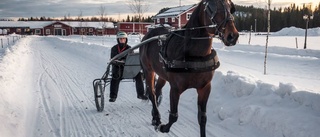 Bodenkusken slungades i backen – till sjukhus med ambulans