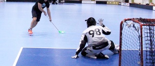 Sportspanarna fick en lektion i innebandy