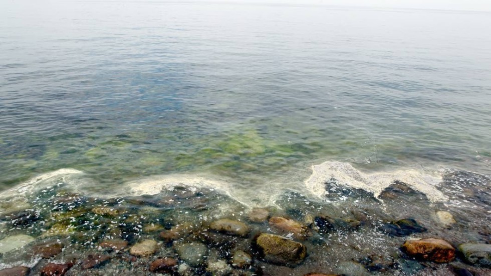Algblommning är en konsekvens av att Östersjön blir allt mer övergödd.