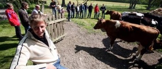 Årets nötköttbonde på ön satsar på öppna landskap