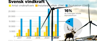 Politiker vill ha vindkraft – säger ändå nej