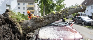 Klimatforskare: "Tornador kan bli kraftigare"