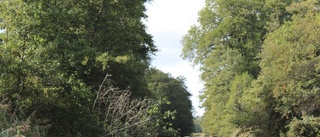 Strandskyddet räddar Brunnsparken