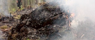 Flygplan upptäckte skogsbrand