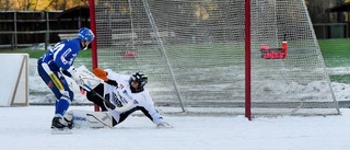 Ovanligt resultat för Tjust Bandy