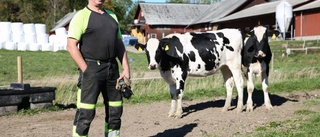 Trots torkan: De har överskott av foder