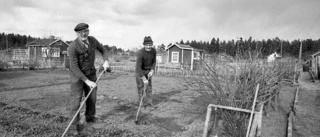 Kriget skapade sug efter lotter