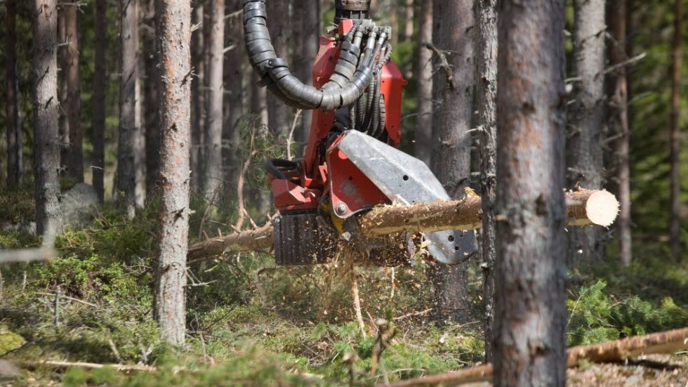 Skogsstyrelsens rekommendation att avstå från skogsbruk gäller de områden där det enligt SMHI:s brandriskprognos är mycket hög eller extrem brandrisk.