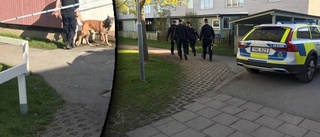 Misstänkta för vapenbrott på fri fot