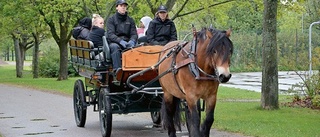 Skäggetorpsdagen i snålblåst och regn