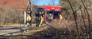 Gräsbrand i skogsområde