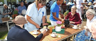 Kändisar underhöll på sommarfesten