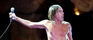 Bästa på länge från Iggy Pop