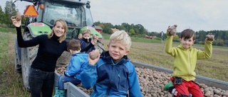 Matilda hittar julkänslan i potatisåkern