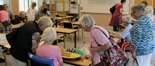 Spetsar i fokus på folkhögskolan