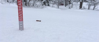 Boende fortsatt strömlösa