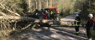 Träd blockerade vägen