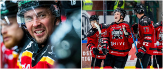 Boden värvar Luleå Hockey-spelarens bror