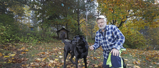 Kenth, 70, förlorade tolv djur – i rävattack