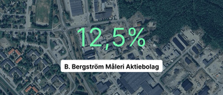 B. Bergström Måleri AB: Här är de viktigaste siffrorna från 2023