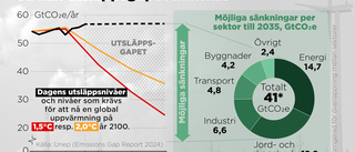 Utsläppen ökar – men kanske för sista gången