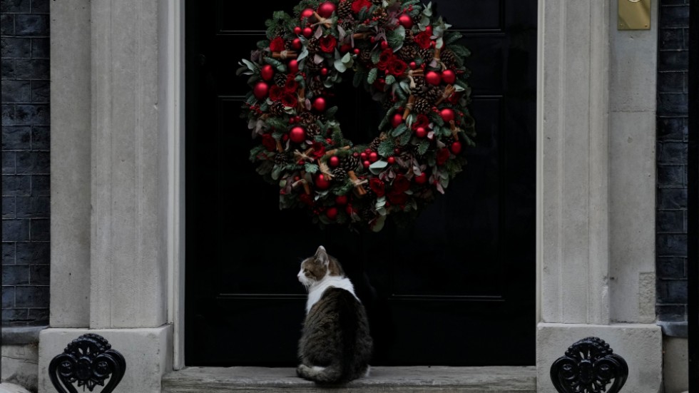 Vem läcker material inifrån 10 Downing Street? Om huskatten Larry vet så säger han inget.