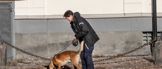 Specialsökhund sätts in efter skotten