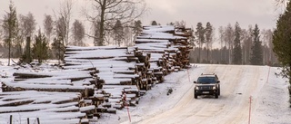 Vägen stängd för tung trafik – igen