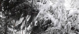 Satsningen ska rädda under snövintrarna