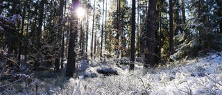 Fram med solbrillorna! • Så blir helgvädret