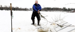 Delikatess fiskas i Bureå