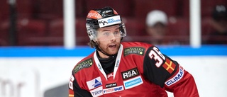 VIK har gjort klart med SHL-meriterad back 