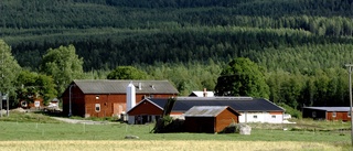 Varför detta ointresse för jord- och skogsbruk