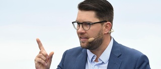 Åkesson: Gjorde det vi ska när det uppdagades