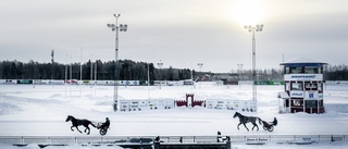 Bodentravet vill vara en dynamo • Hanna Olofsson ett av proffsen: "Det man kör in är en bonus"