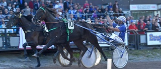 Usain Swing en av fyra Skelleftehästar i V75-start