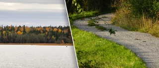 Byggde väg trots strandskydd – till torrdass och husbil • Hamnade i misstänkt grannfejd