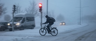 Vår förbyts till vinter igen när bakslag slår till