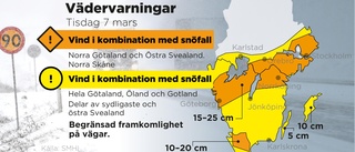 Snökaos i syd – tåg ställs in